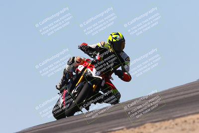 media/Apr-14-2024-SoCal Trackdays (Sun) [[70f97d3d4f]]/12-Turn 9 (150pm)/